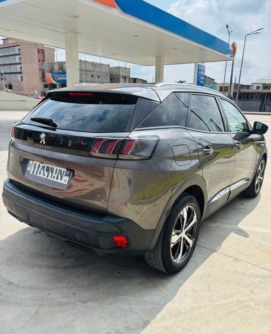 Peugeot 3008 2024 - photo 7